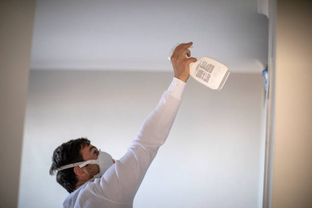 Best Black Mold Removal  in Lafayette, CO